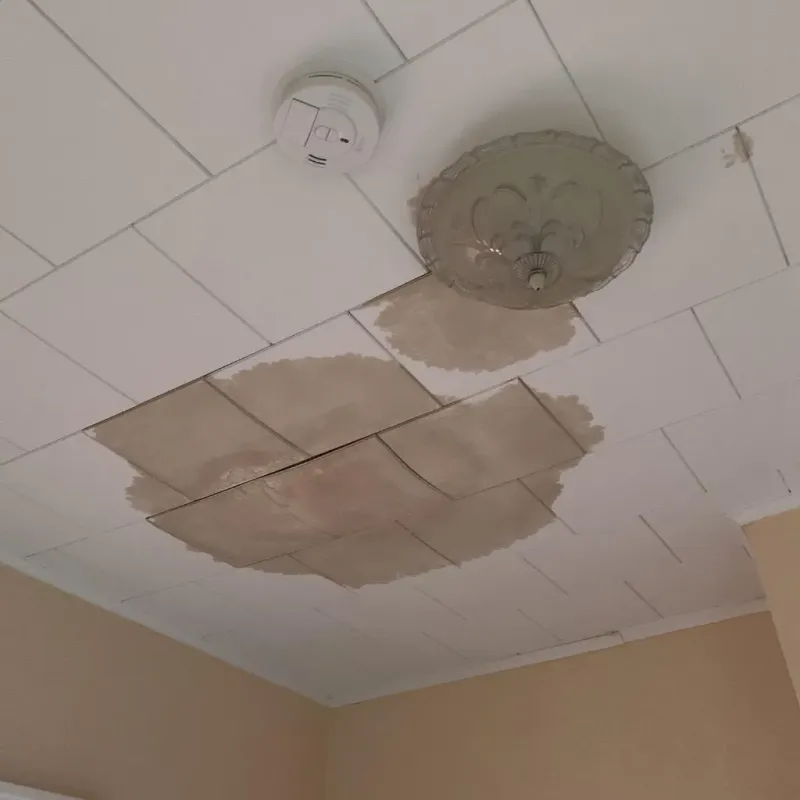 Ceiling Water Damage Repair in Hough, OH