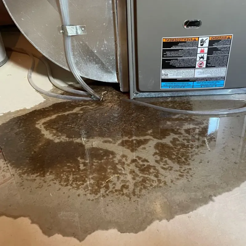 Pipe Burst and Leak Restoration in Hough, OH