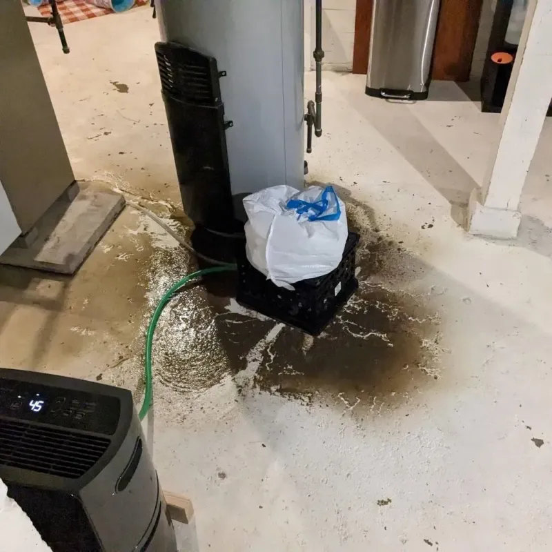 Sewage Backup Cleanup Service in Hough, OH